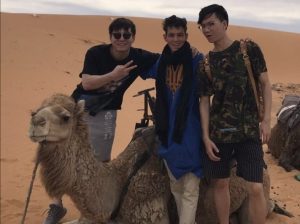 merzouga desert by visiting fes and marrakech